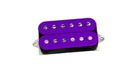 PAF 36th Anniversary Neck