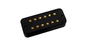 DLX Plus Neck