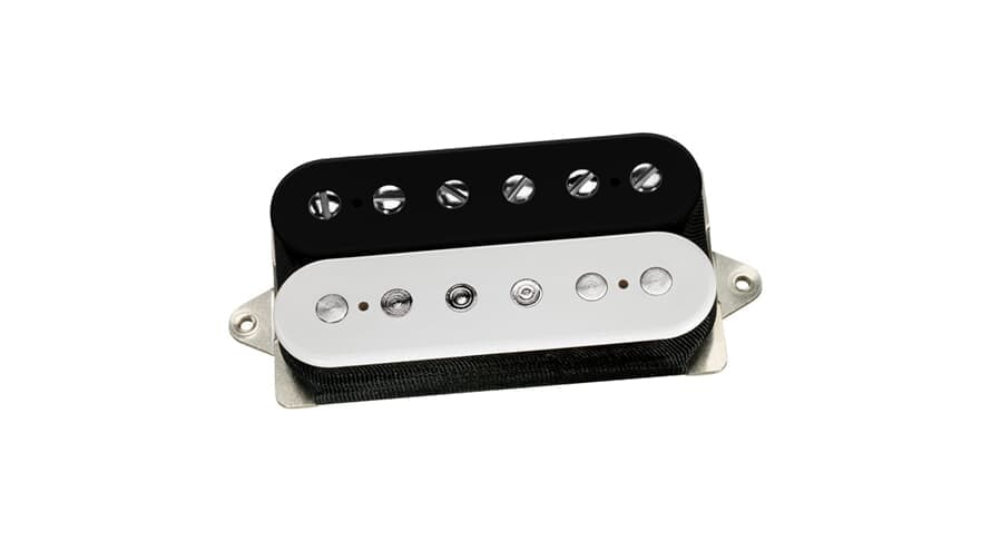 PAF 36th Anniversary Neck