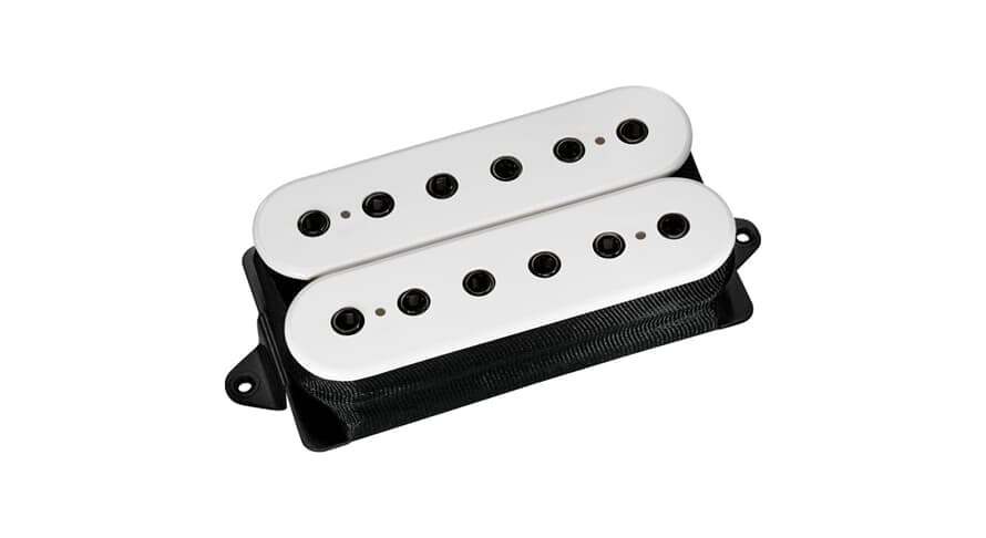 Evo 2 Bridge