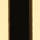 Gold Cover with Black Insert